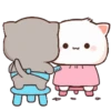 MOCHIS CAT Extra"Ñ" MOV 7