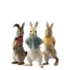 Peter Rabbit(movie) Mov 5