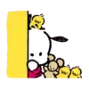 POCHACCO 10