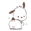 POCHACCO 11