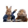 Peter Rabbit(movie) Mov 6