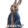 Peter Rabbit(movie) Mov 7