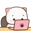 MOCHIS CAT Extra"P" MOV 8