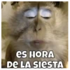 es HORA DE LA SIESTA