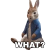 Peter Rabbit(movie) Mov 8