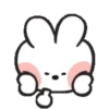 LINE FRIENDS mini  Mov 12