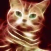 Gatos Neon - 4 Mov.1712 10