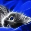 Gatos Neon - 4 Mov.1712 11