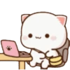 MOCHIS CAT Extra"N" MOV 6
