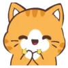 Cat Wow    Mov 5