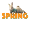 Peter Rabbit(movie) Mov 9