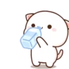 MOCHIS CAT Extra"Ñ" MOV 12