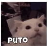 PUTO