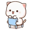 MOCHIS CAT Extra"P" MOV 12