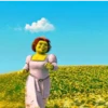 Princesa Fiona Mov 11