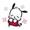 POCHACCO 13