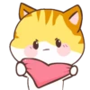🧡Orange Cat Mov.🐱 9