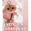 venGO A CURARLO BB