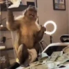 Changuito George   ️ 6