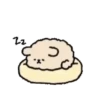 ️ Cachorro Peluche   MOV 10