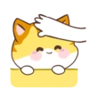 🧡Orange Cat Mov.🐱 10