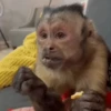 Changuito George   ️ 7