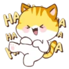 🧡Orange Cat Mov.🐱 11