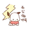 POCHACCO 14