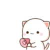 MOCHIS CAT Extra"Ñ" MOV 15