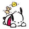POCHACCO 15