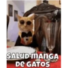 SALUD MANGA DE GATOS