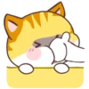 🧡Orange Cat Mov.🐱 14