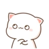 MOCHIS CAT Extra"Ñ" MOV 16