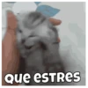 Que eSTRES