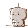 MOCHIS CAT Extra"Ñ" MOV 17