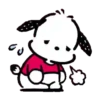 POCHACCO 16