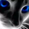 Gatos Neon - 4 Mov.1712 14