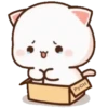 MOCHIS CAT Extra"P" MOV 14