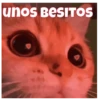 unos BESITOS
