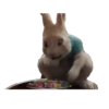 Peter Rabbit(movie) Mov 16