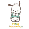 POCHACCO 17