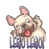 Perritos Chistosos  Mov 12