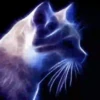 Gatos Neon - 4 Mov.1712 16