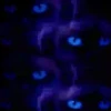 Gatos Neon - 4 Mov.1712 17
