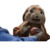 Peter Rabbit(movie) Mov 17