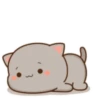 MOCHIS CAT Extra"Ñ" MOV 18