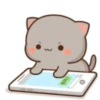 MOCHIS CAT Extra"N" MOV 11