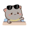 MOCHIS CAT Extra"Ñ" MOV 19