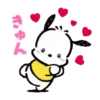 POCHACCO 18