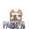 Perritos Chistosos  Mov 14